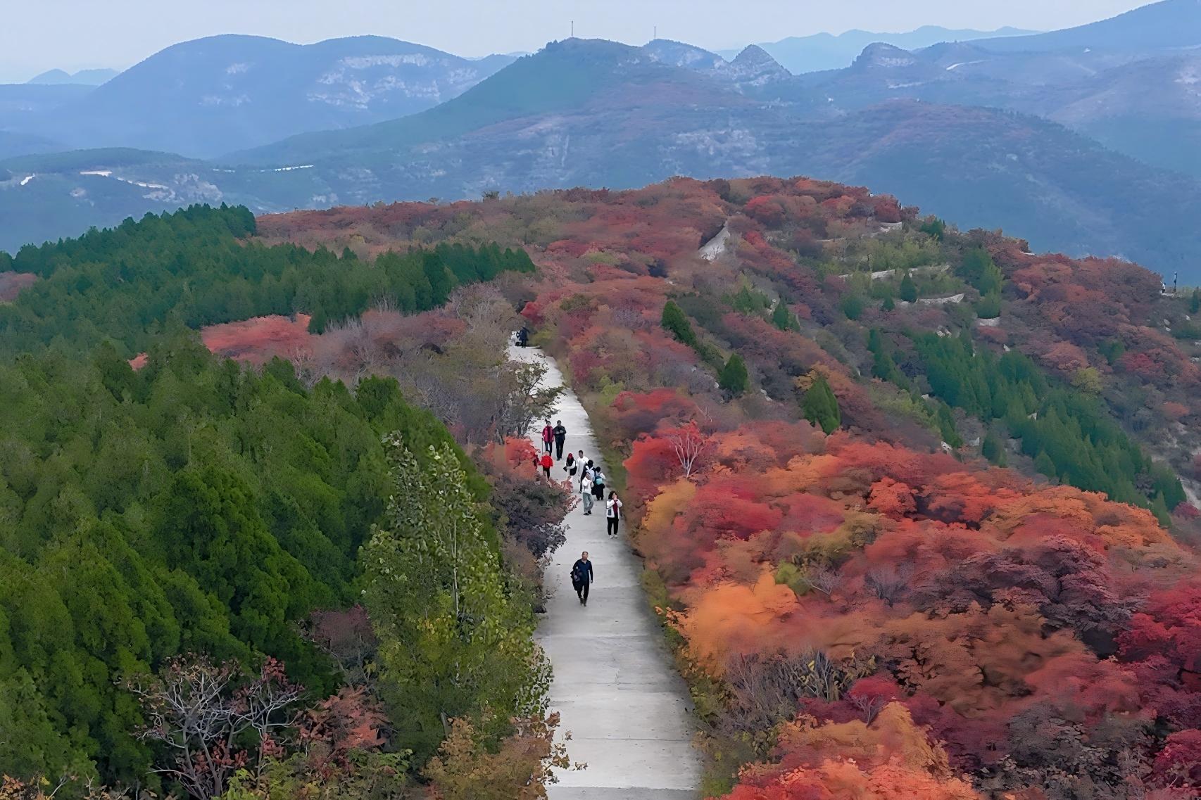 微信圖片_20251025173445_200_245(1).jpg 微信圖片_20251025173445_200_245(1).jpg